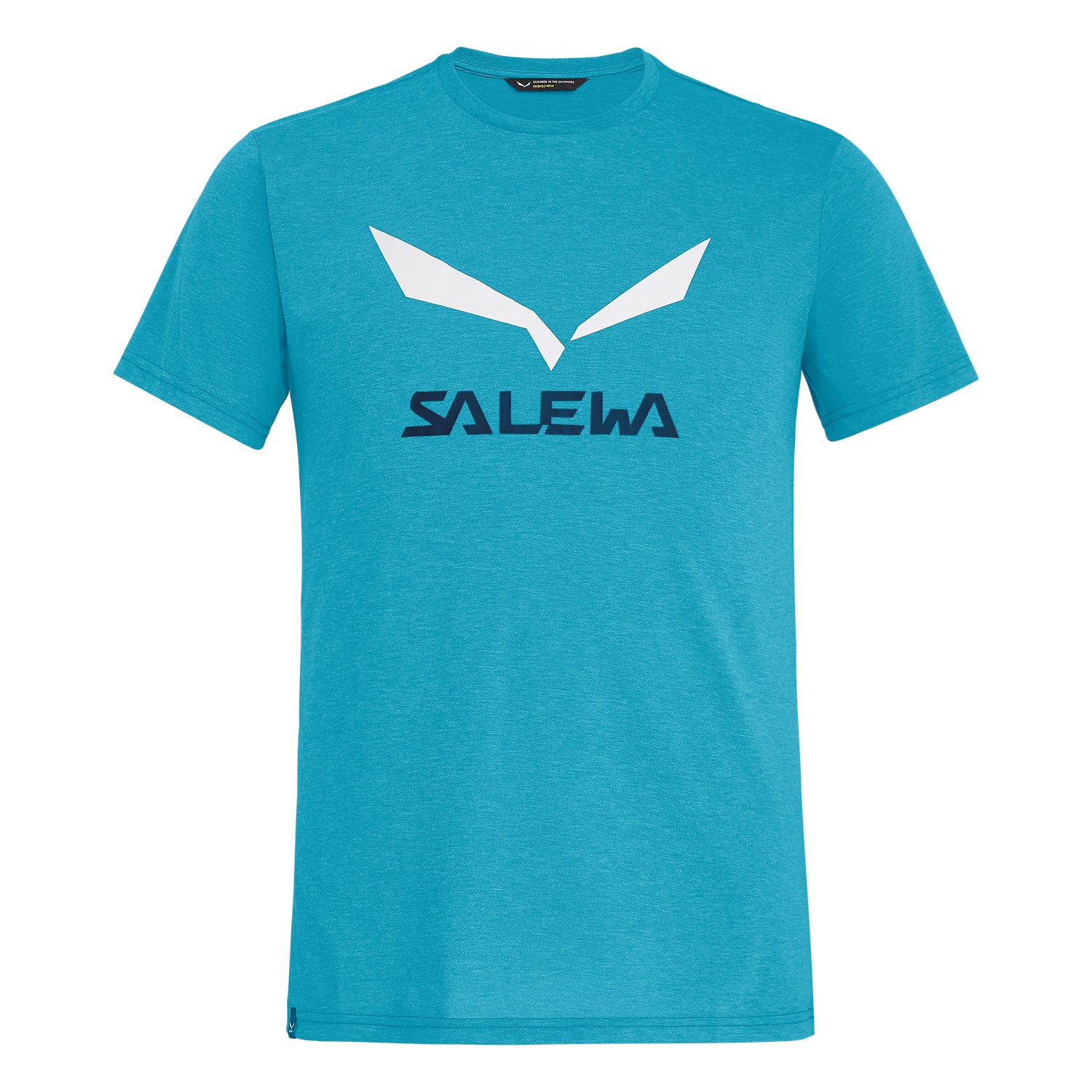 Salewa Solidlogo Drirelease® Erkek T-Shirts Mavi Türkiye 625493OVG